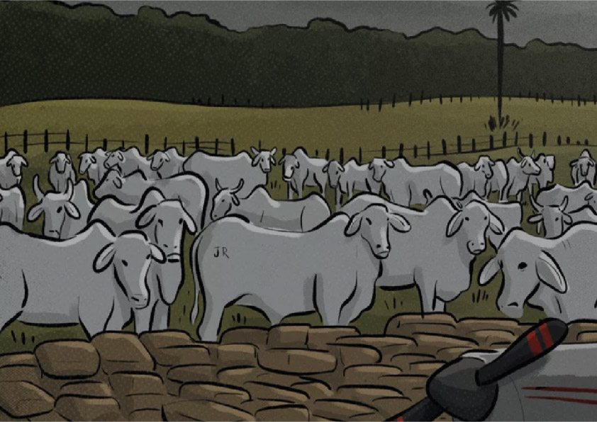 Conflitos por terra, trabalho escravo, desmatamento ilegal e homicídio envolvem o nome de João Soares Rocha, que usou a pecuária para lavar dinheiro do tráfico, segundo a PF