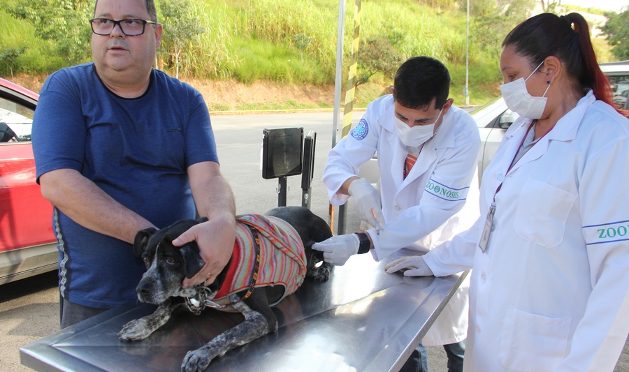 Barueri abre agenda para vacinação antirrábica 