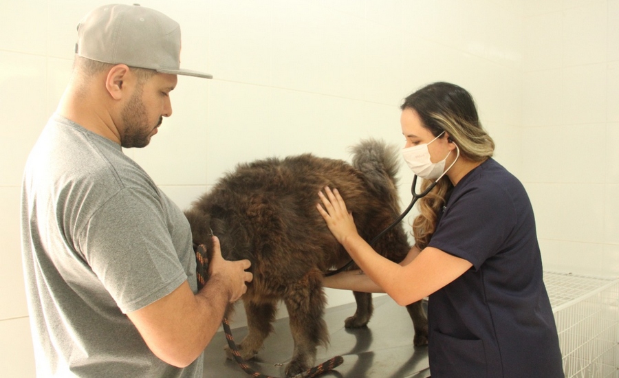 Prefeitura de Barueri amplia atendimento clínico e de especialidades para pets