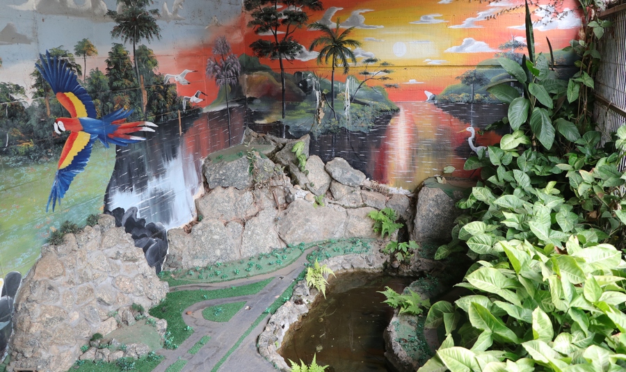 Sala Verde de Barueri é escolhida como exemplo de educação ambiental pelo Ministério do Meio Ambiente