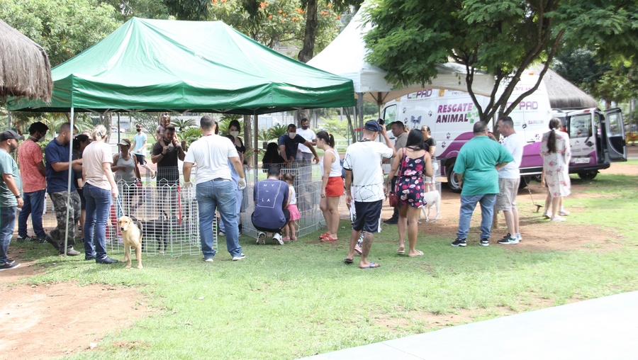 Fevereiro terá Feira Especial de Adoção de Pets, além de mais eventos pela cidade