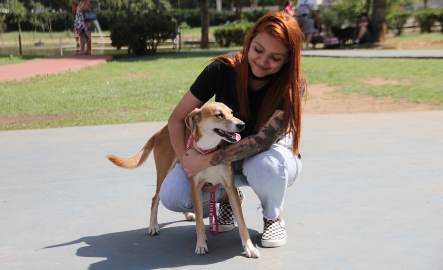 Zoonoses de Barueri orienta sobre os cuidados com a Leishmaniose