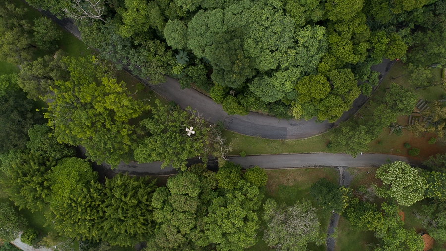 Plataforma avalia Barueri como a cidade mais sustentável e inovadora do Brasil