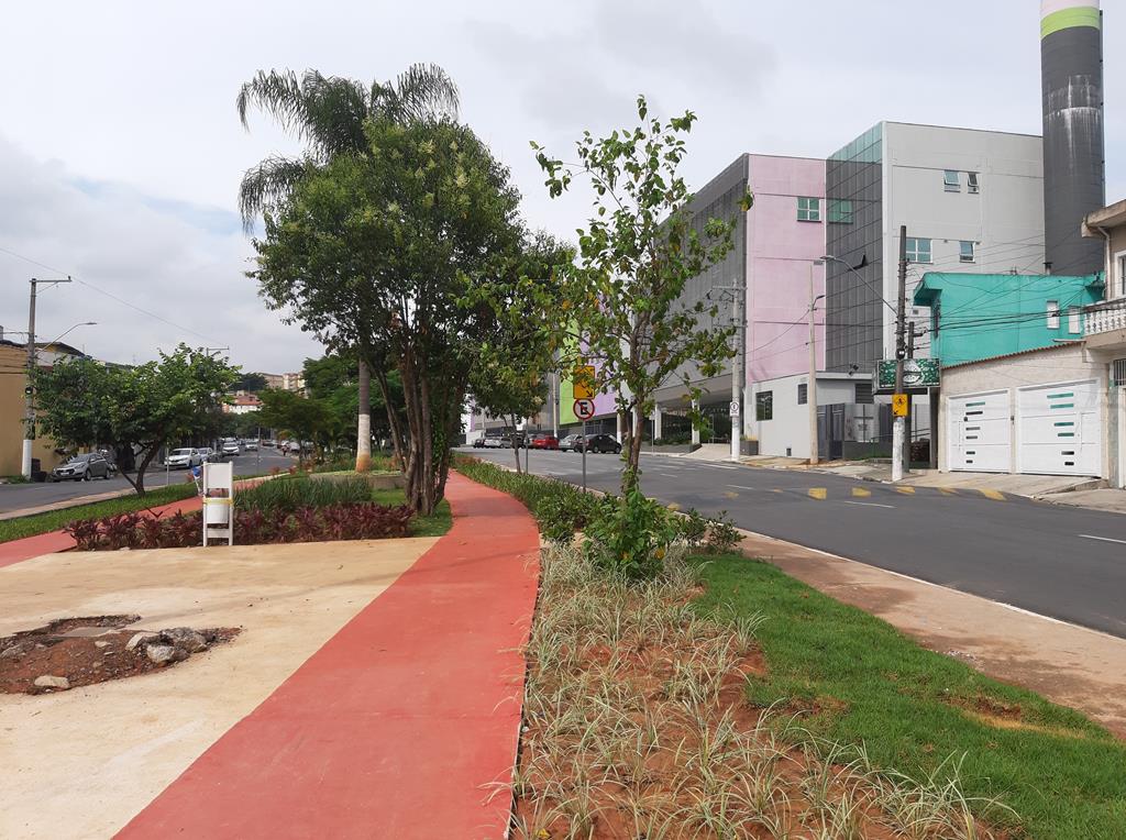 Prefeitura realiza 1.700 serviços por dia para manter cidade limpa e bem cuidada