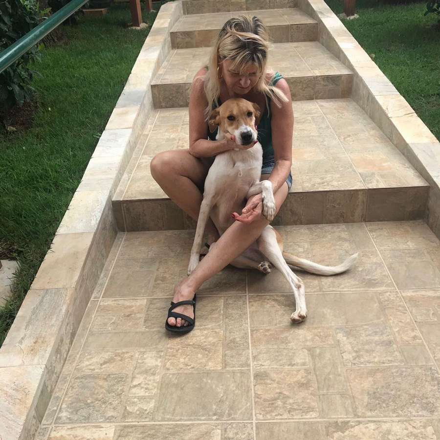 Adoção especial dá um novo lar para pets idosos, deficientes ou de grande porte