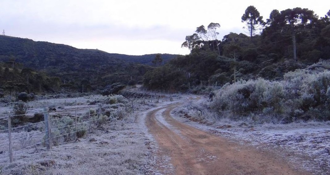 Massa de ar polar seca provoca neve e geada no Sul