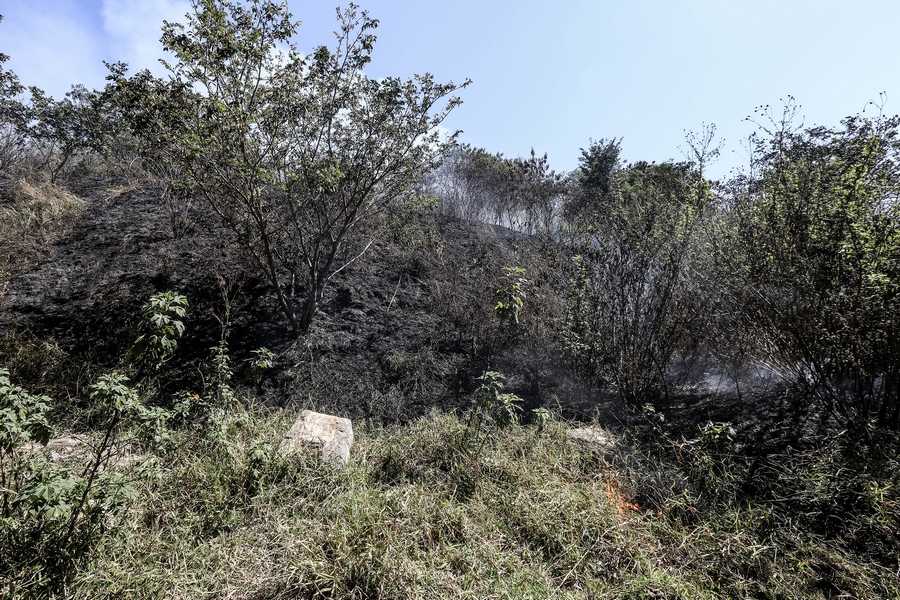 Itapevi realiza campanha de conscientização contra queimadas