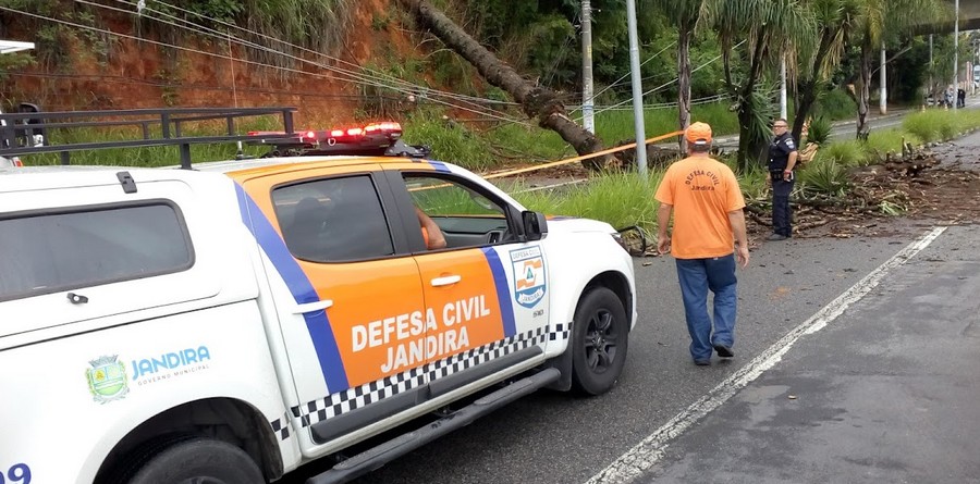 Árvore de grande porte cai e atinge motociclista em Jandira