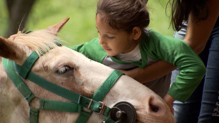Pela primeira vez na história, Saúde de Jandira oferece tratamento com equoterapia
