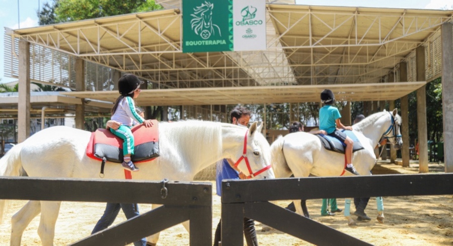 Equoterapia de Osasco atende 250 alunos com deficiência