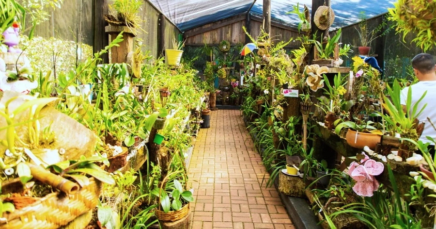 Osasco realiza processo seletivo para estágio na Secretaria de Meio Ambiente