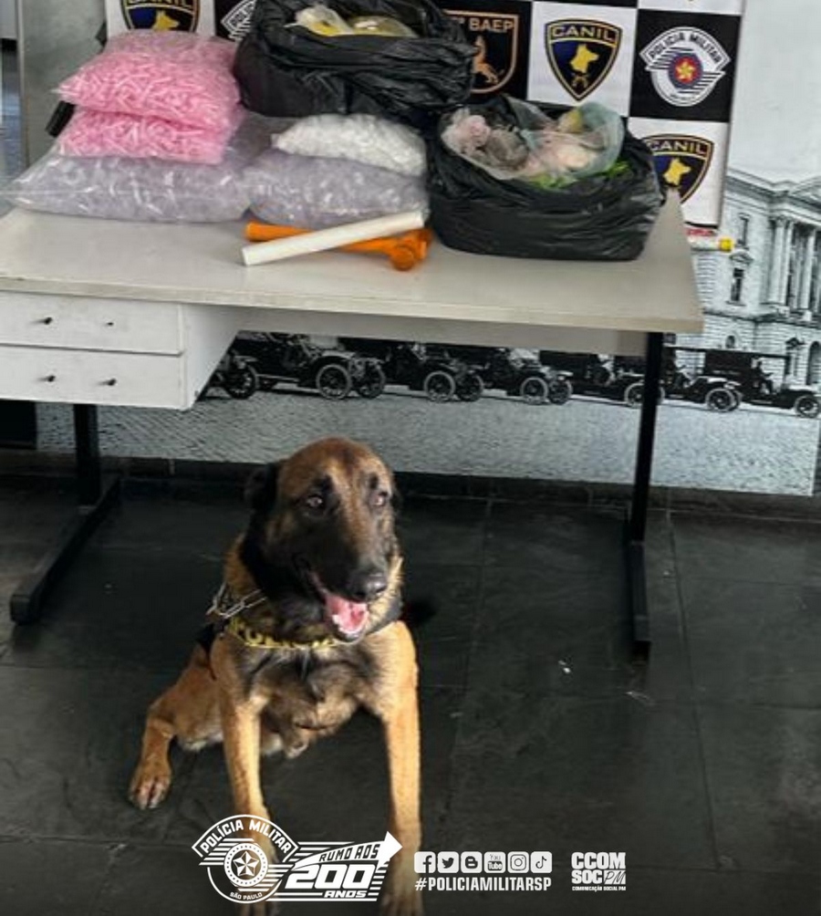 BAEP localiza e apreende drogas em Carapicuíba