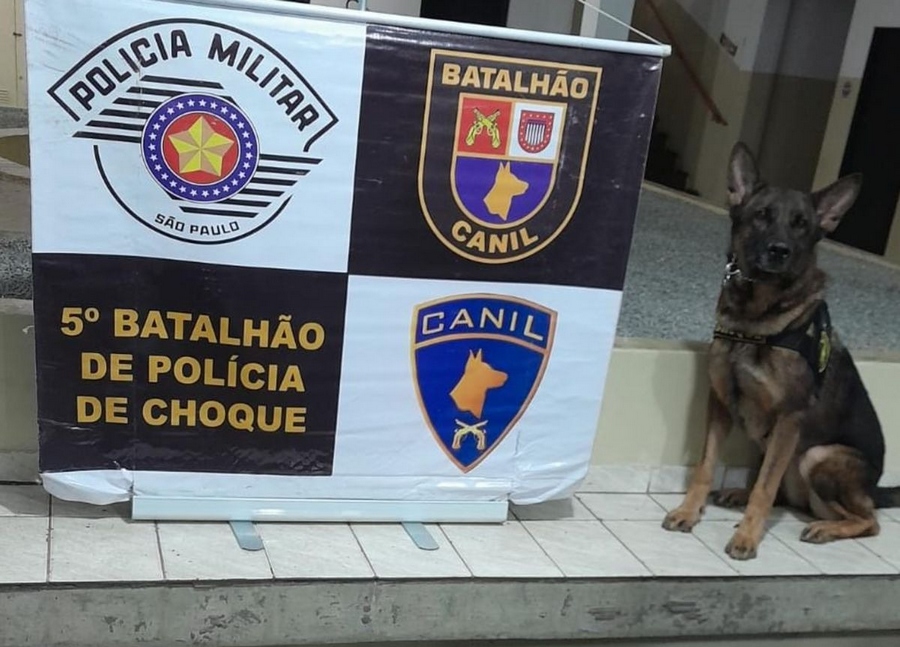 Canil apreende mais de 10 kg de drogas em Jandira