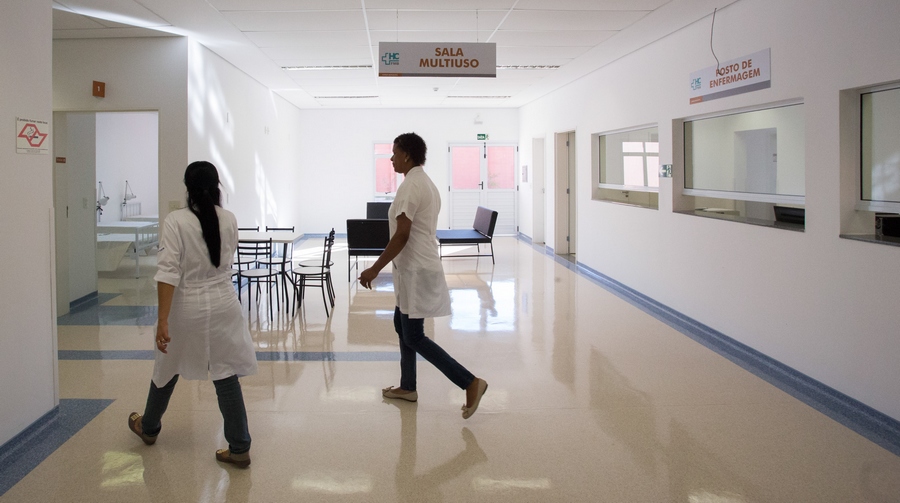 Febre Maculosa: saiba mais sobre as principais medidas de combate e prevenção