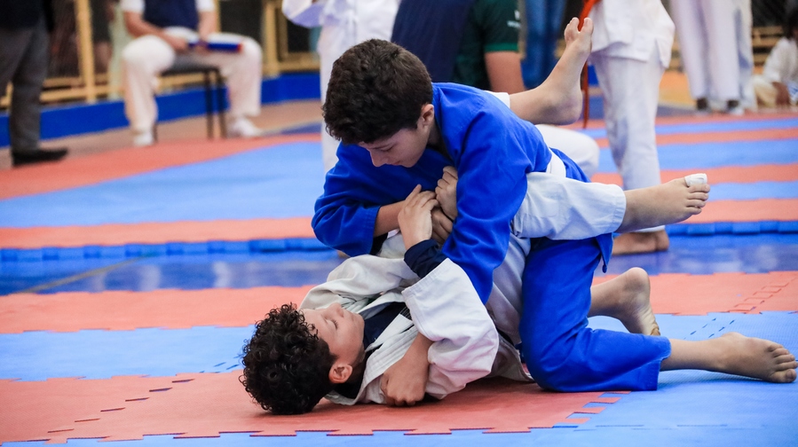 Santana de Parnaíba realiza 8º Festival de Artes Marciais